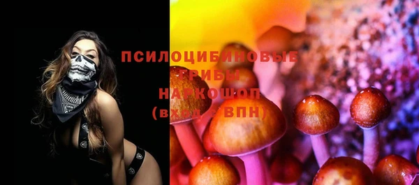 сатива Магадан